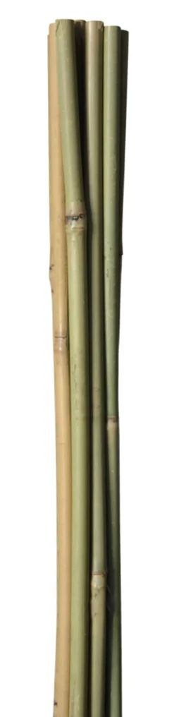 Bambuspinne 120 cm 4 stk.