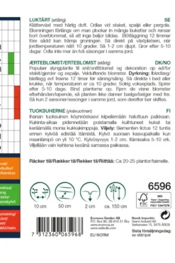 Erteblomst 'Old Spice Mixed'