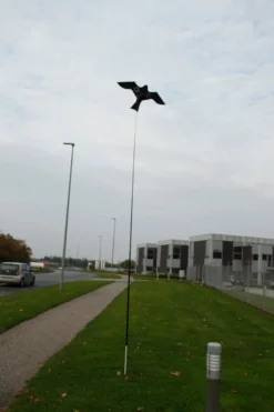 Fugleskremsel drage