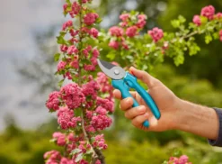 Gardena beskjæringssaks EasyCut