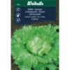 Isbergsalat 'Calmar'