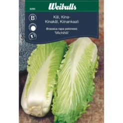 Kinakål 'Michihili'