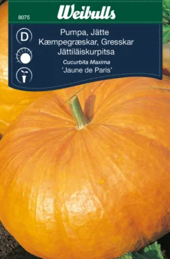 Kjempegresskar ´Jaune de Paris`
