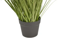Kunstgress med ekte pampas 120 cm