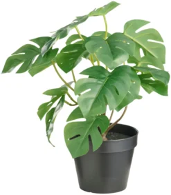 Kunstig monstera plante i potte H32 cm innendørs - Day