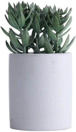 Kunstig plante tetragona H19 cm