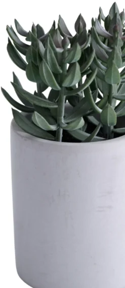 Kunstig plante tetragona H19 cm
