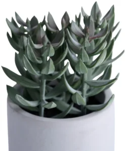 Kunstig plante tetragona H19 cm