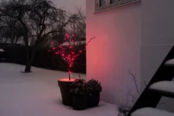 Lysslynge 100 LED-pærer rød 9,9 meter