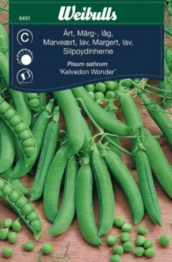 Margert, lav 'Kelvedon Wonder'