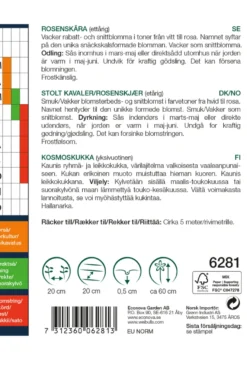 Pyntekorg ´Sea shells` - Rosenskjær