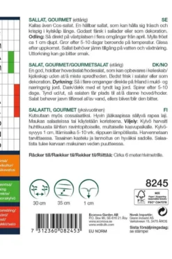 Salat, gourmet 'Little Gem'