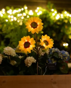 Solcelleblomst Solsikke – Garden®