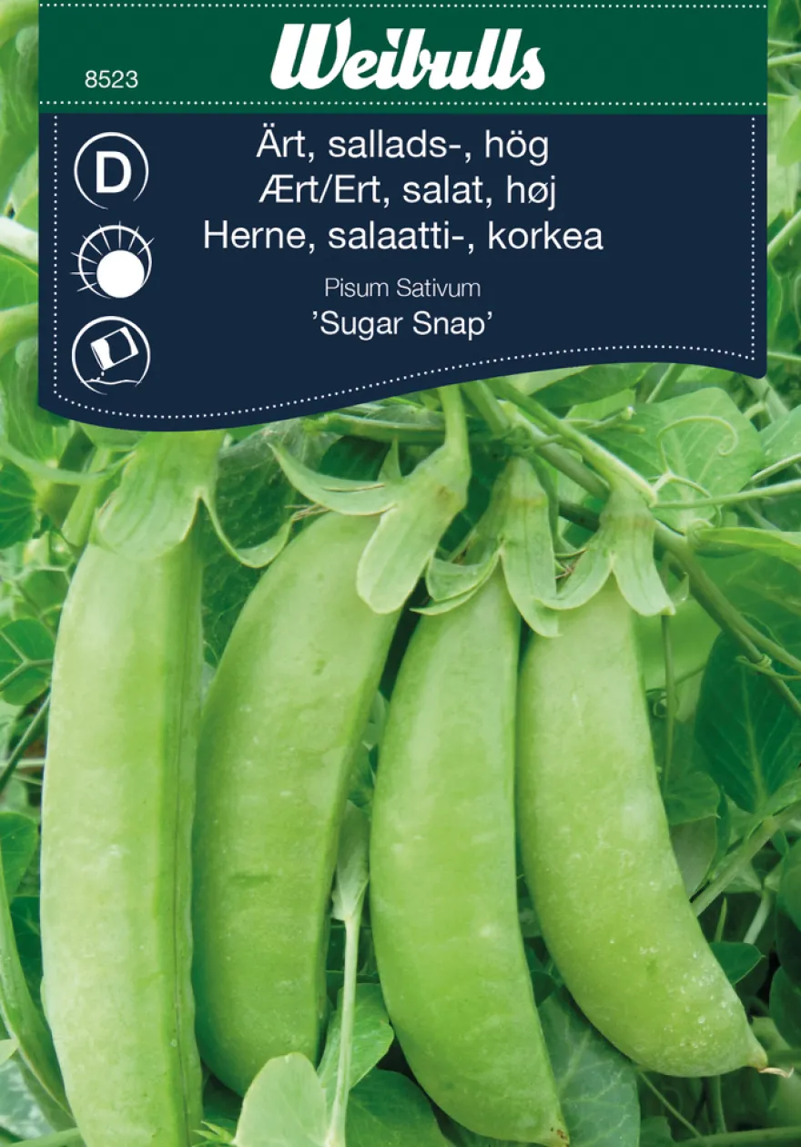 Sukkerert, høy 'Sugar Snap'